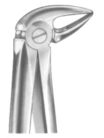 Extracting Forceps English pattern 