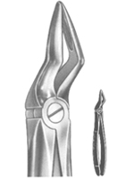 Extracting Forceps English pattern 