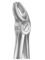 Relax Extracting Forceps 