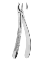 Extracting Forceps English pattern 