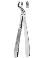Extracting Forceps English pattern 