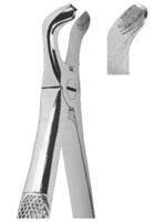 Extracting Forceps English pattern 